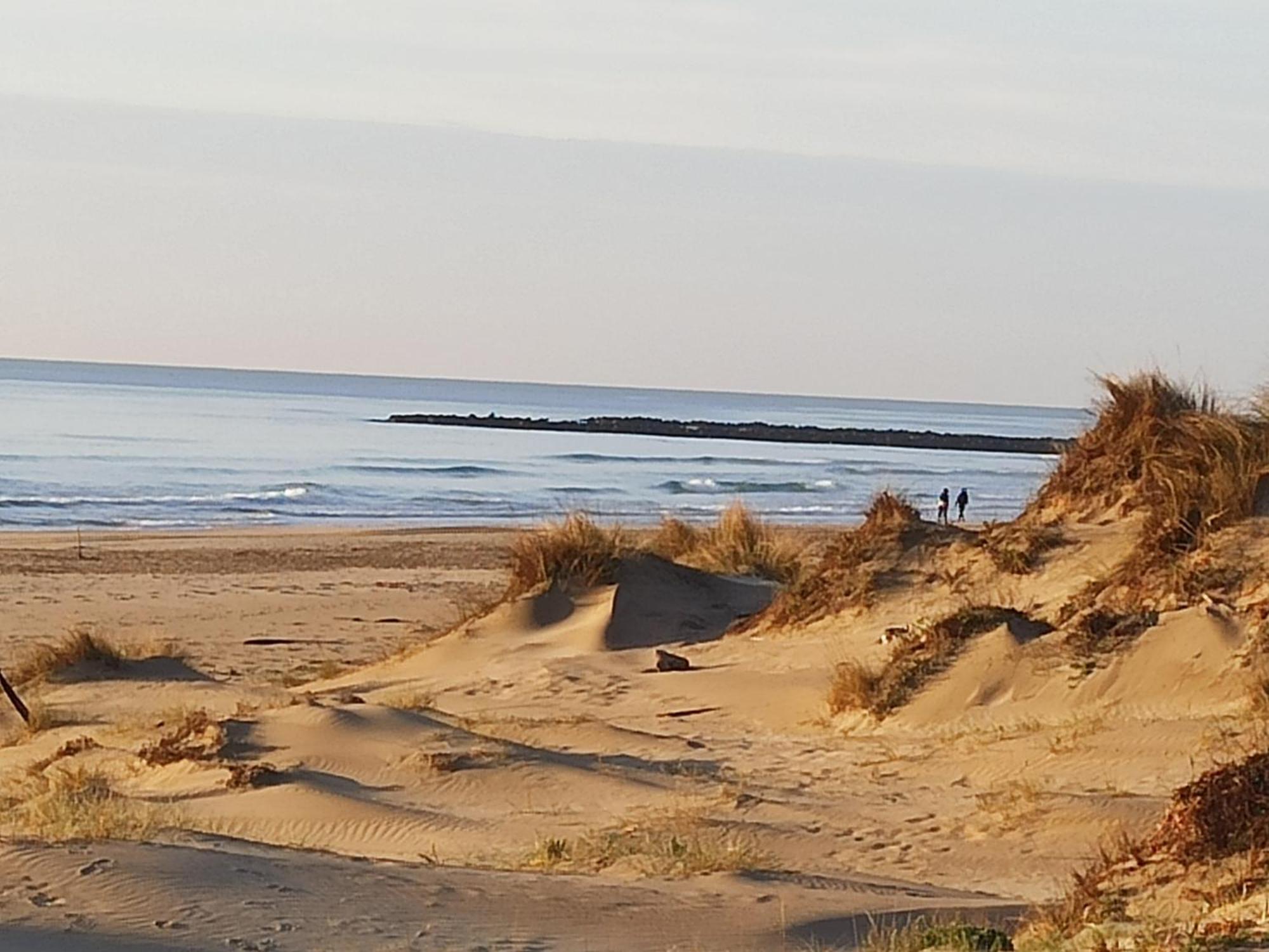 T2 Rdc Avec Jardin, Cap D'Agde, Secteur Falaise, 100 M Plage, Clim, Wifi, Parking Dış mekan fotoğraf